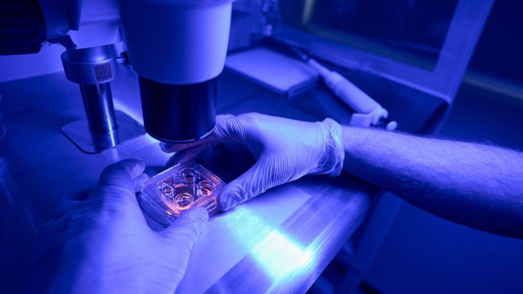 Natural Stem Cell Activation 2 Stem Cell Activation