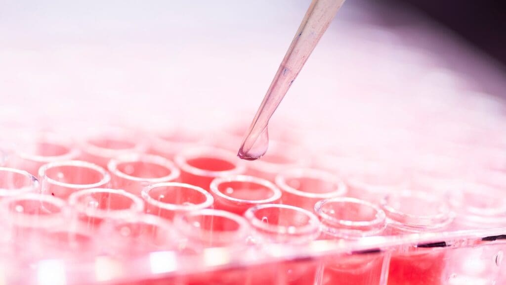 Natural Stem Cell Activation 1 Stem Cell Activation