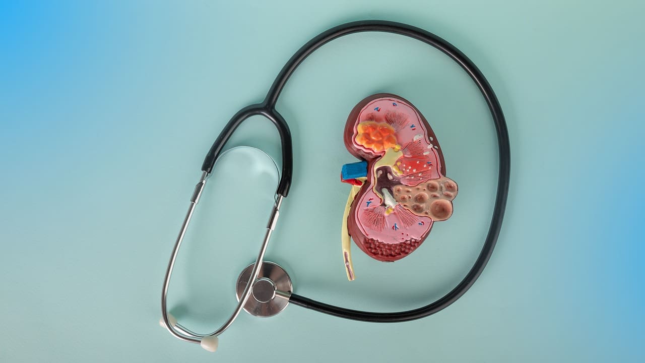 Pediatric Nephrology 5 Pediatric Nephrology