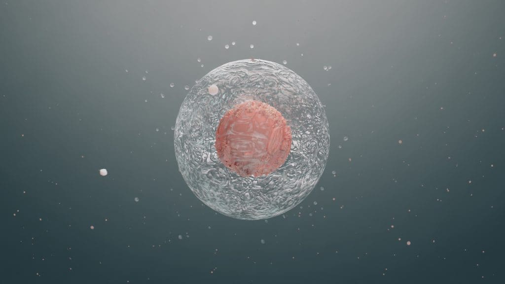 living cell with pulsating nucleus biological concept emergence new life reproduction 1 LIV Hospital