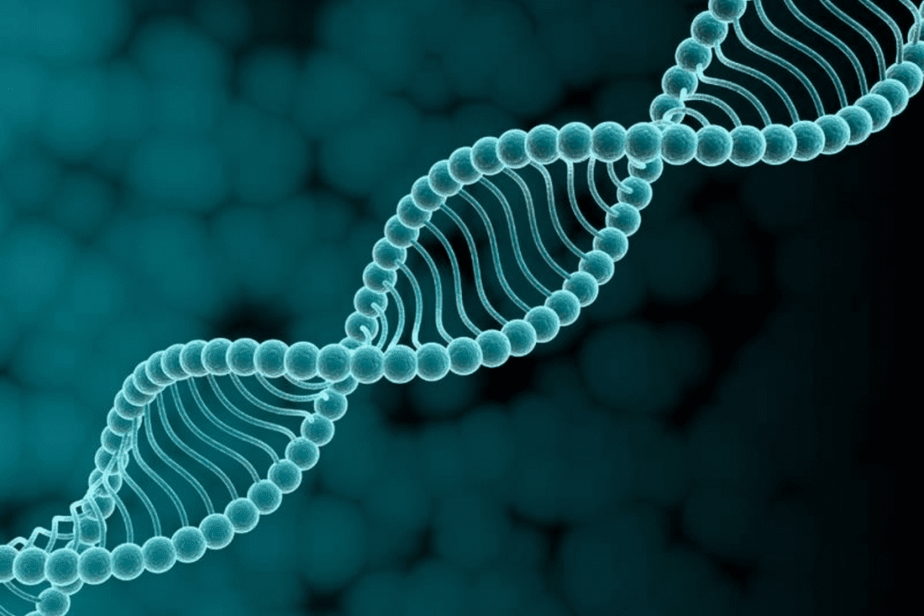 image 1808 LIV Hospital