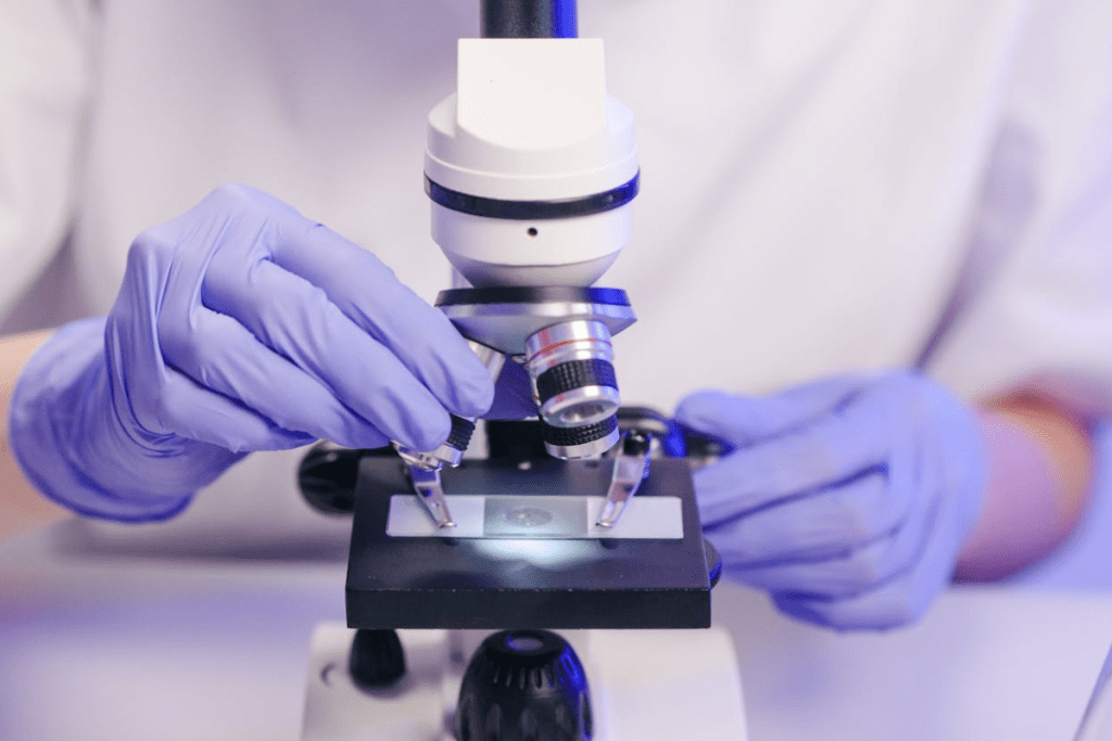 Global Guide: Best stem cells cure ms Treatment in the World