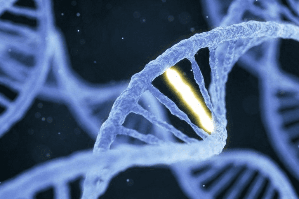 sickle cell anemia Treatment: What Age Is Gene Therapy Approved For?