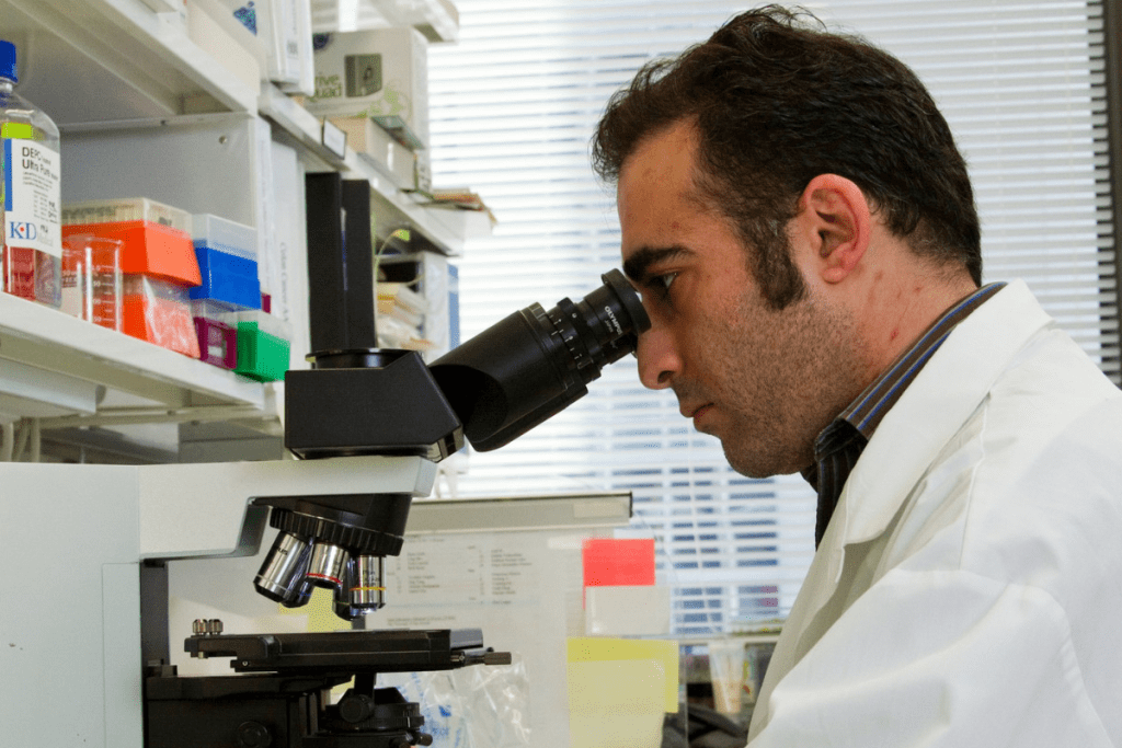 Understanding If germline therapy Effects Are Passed Onto Offspring