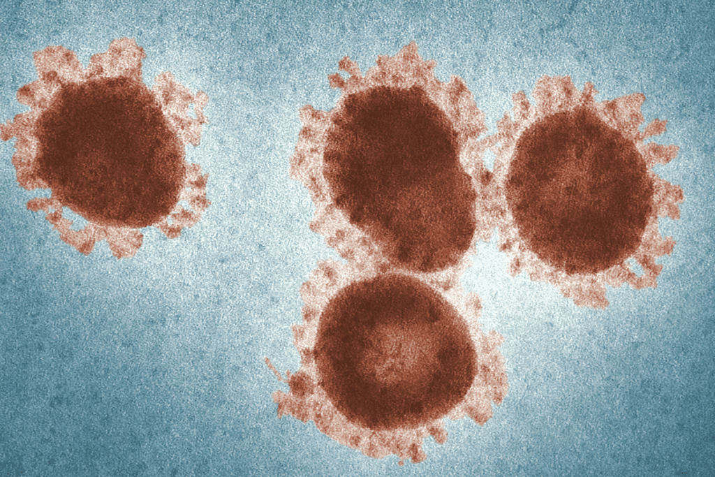 Cost-Benefit Analysis: Is gene therapy Worth the Investment and Risk?