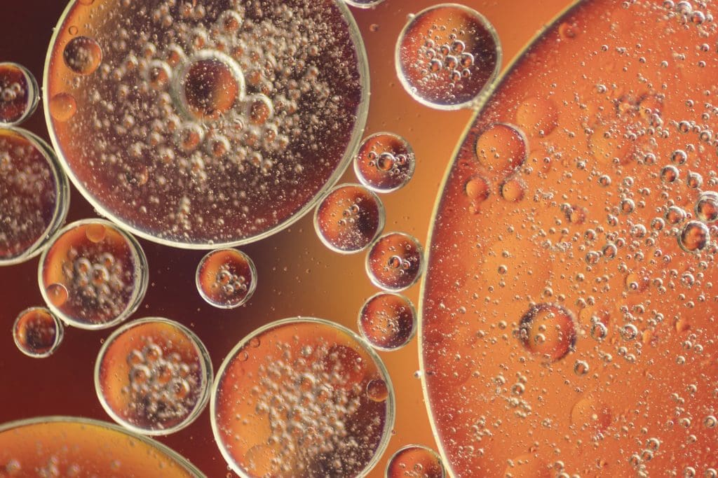 Induced Pluripotent Stem Cells (iPSCs)