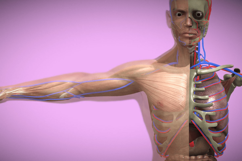 Breast MRI Sensitivity: How Well MRI Detects Breast Cancer