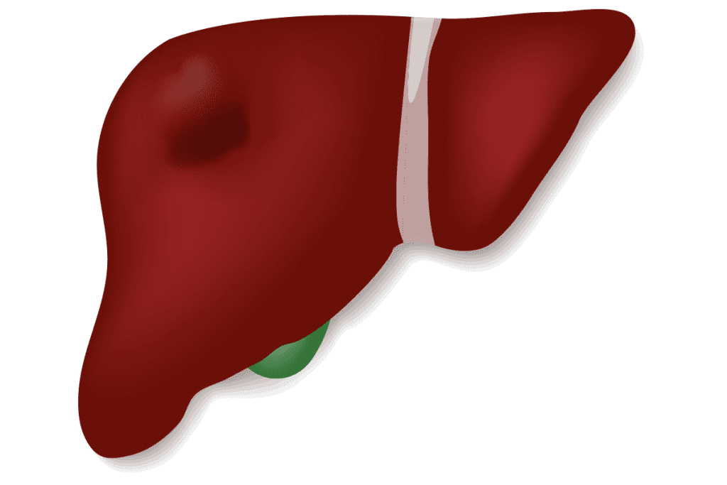 How Hepatoblastoma Presents: Key Symptoms and Warning Signs