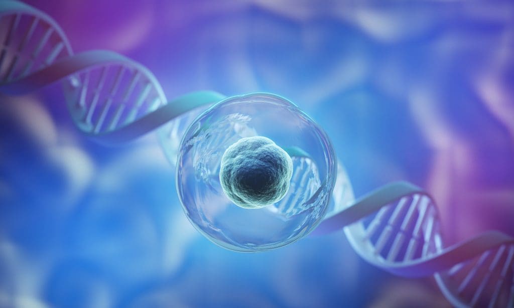 3d rendering human cell embryonic stem cell microscope background 2 LIV Hospital