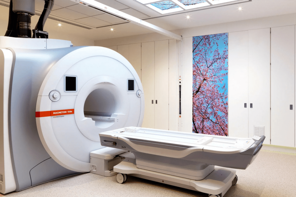 PET Scan Cancer Staging: Accurate Assessment of Tumor Spread and Size 1 PET Scan Cancer Staging: Accurate Assessment of Tumor Spread and Size