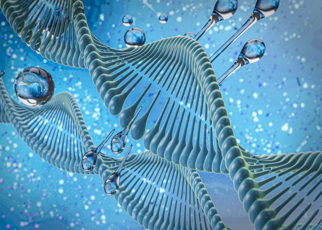 3d representation dna 3 LIV Hospital