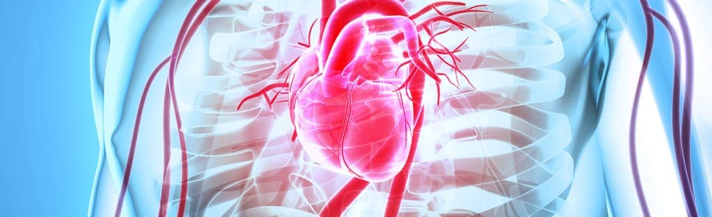 image 218 LIV Hospital