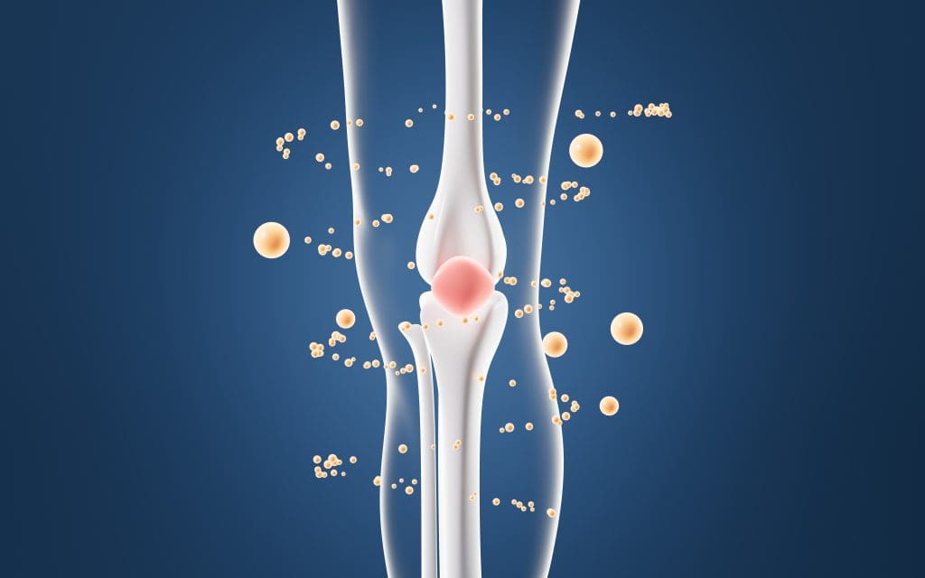 Can Stem Cells Heal Meniscus Tears? 1 human kneecap model drug absorption biological medical concepts 3d rendering LIV Hospital