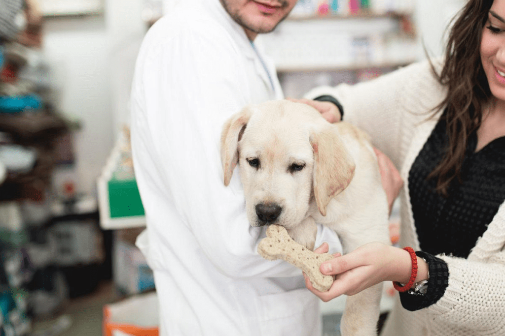 Staying Away from Pets After PET Scan: Powerful Safety Advice