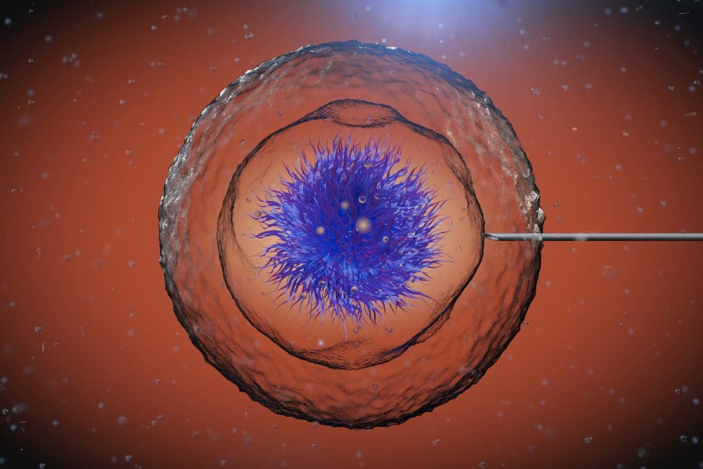 abstract human cell with tube needle microscope extreme closeup 3d rendering LIV Hospital