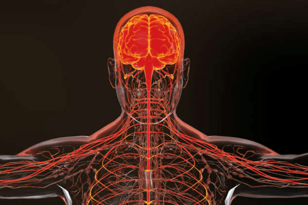 Stem Cells for MS Cure: Promising Advances in Treatment and Recovery