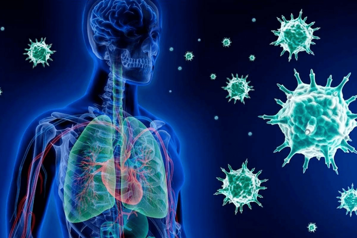 Bone Marrow Transplant Side Effects: Powerful Risks and Facts