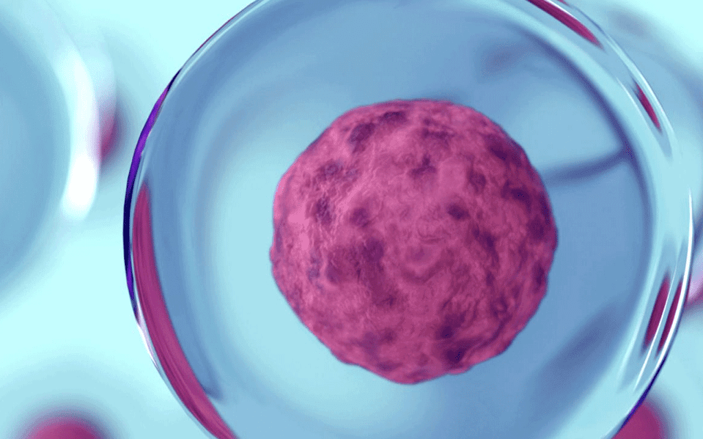 Bone Marrow Transplant: Powerful Treatment with Positive Outcomes