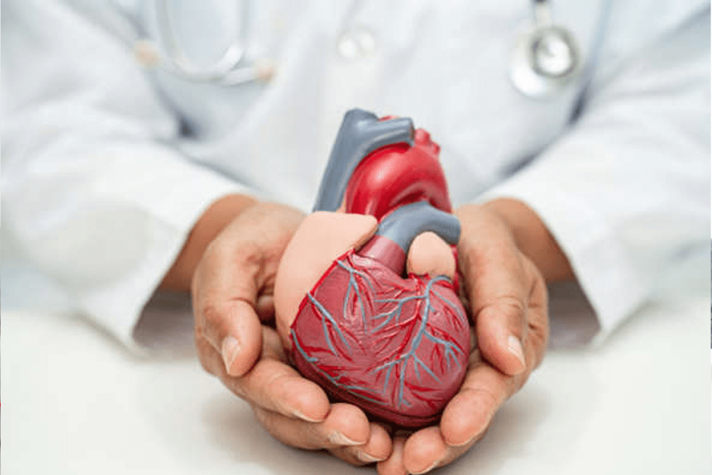 image 668 LIV Hospital