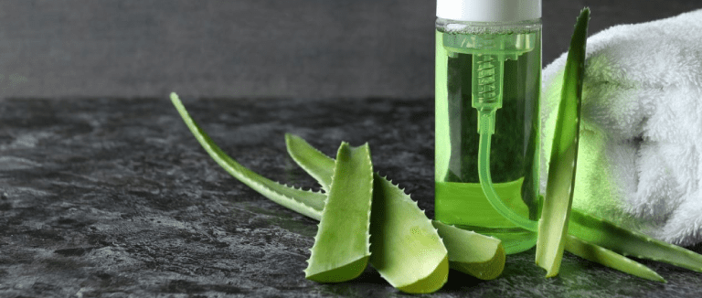 Amazing Benefits of Aloe Vera 1 Aloe vera