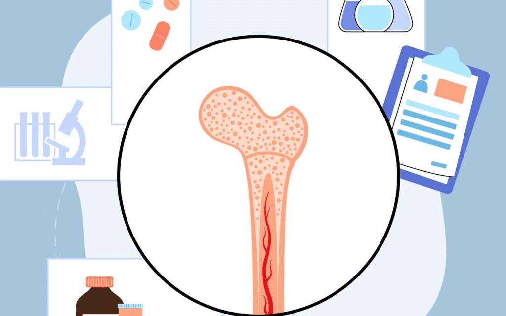 Human Bone Marrow Regrowth: Amazing Healing Power Explained