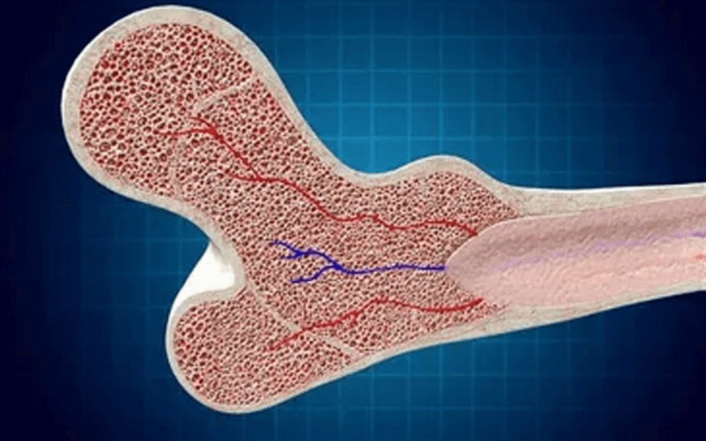 Stem Cell Transplant Cost: Shocking Facts & Risks Revealed