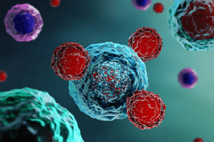 Two important issues in using stem cells