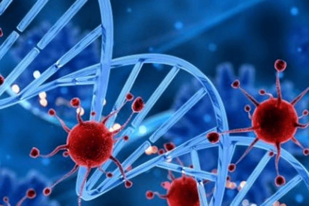 What Are Mesenchymal Stem Cells?