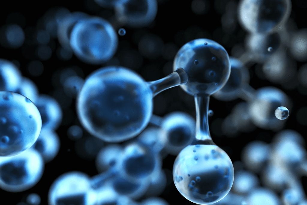 Multipotent Stem Cells: Definition, Types, and Therapeutic Potential