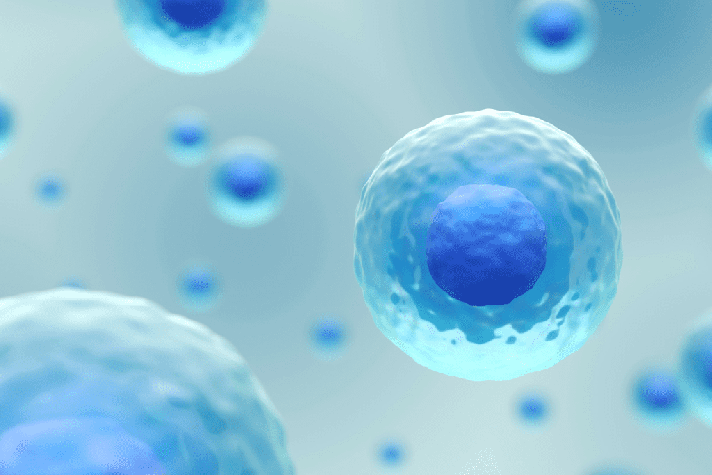 Multipotent Stem Cells: Key to Tissue Repair and Regeneration