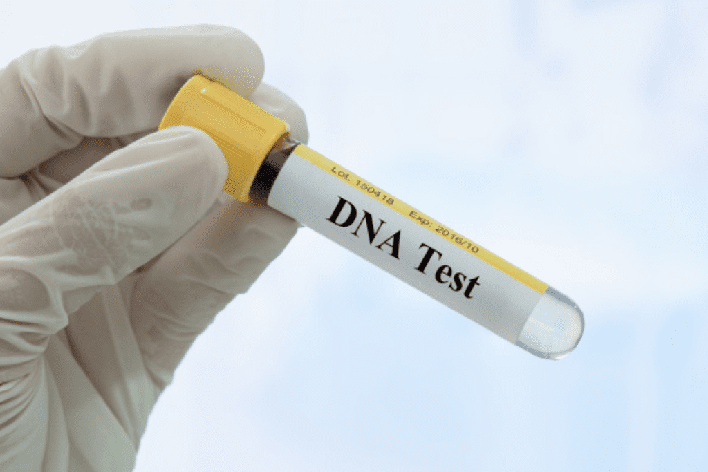 Does a Bone Marrow Transplant Change Your DNA? 1 Does a Bone Marrow Transplant Change Your DNA?
