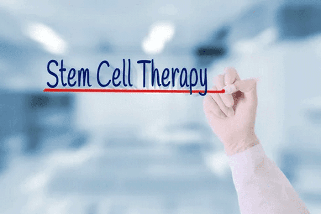 Stem Cell Food: What to Eat After Stem Cell Therapy
