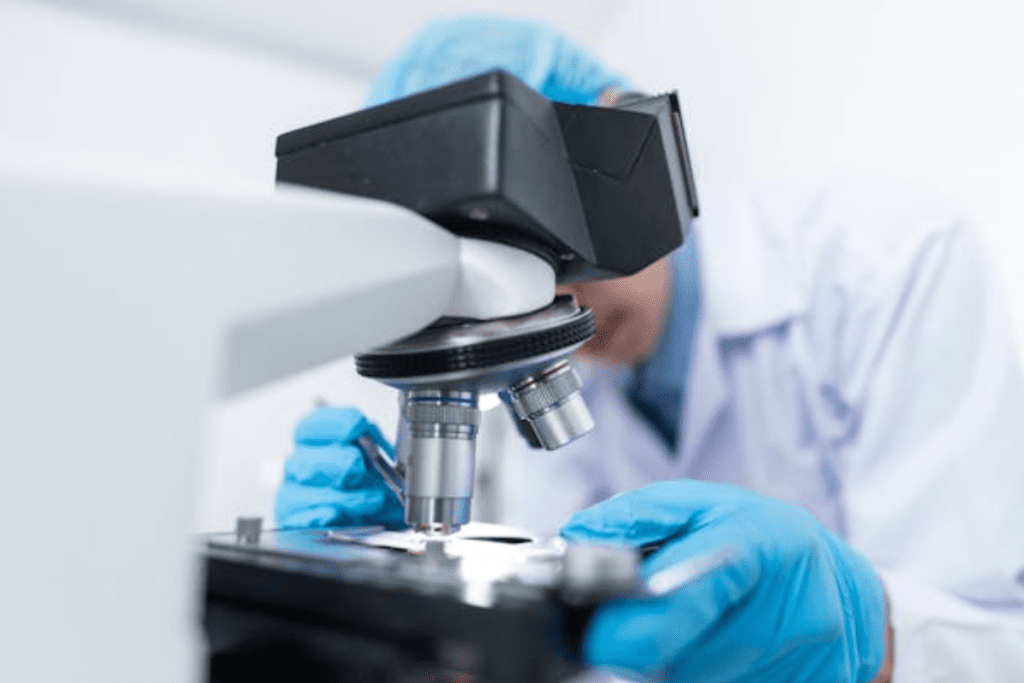 Best Supplements That Increase Stem Cell Production