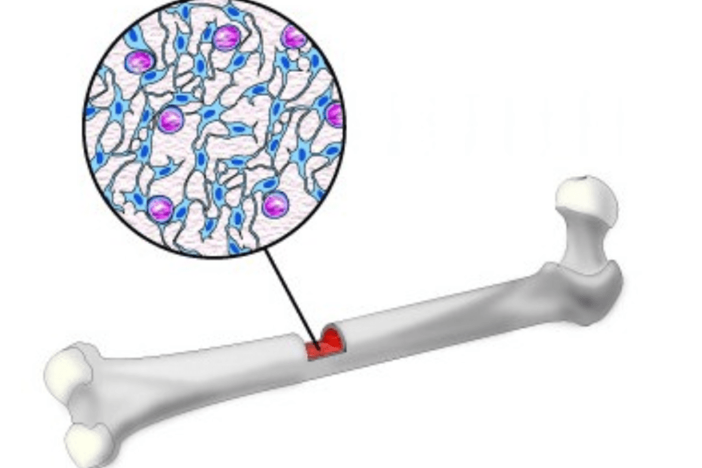 image 150 LIV Hospital