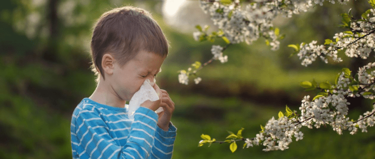 Why Does Spring Allergy Occur in Children?
