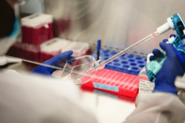 Herbs That Increase Stem Cells Naturally