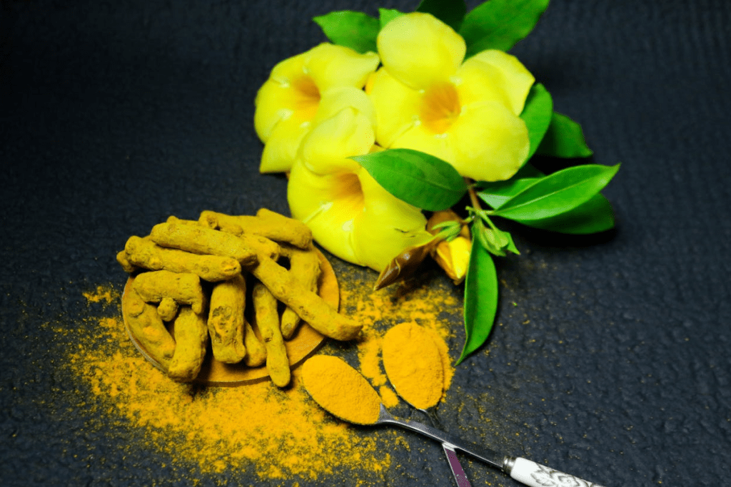 Turmeric Brain Benefits: Boosting Stem Cells and Cognitive Health