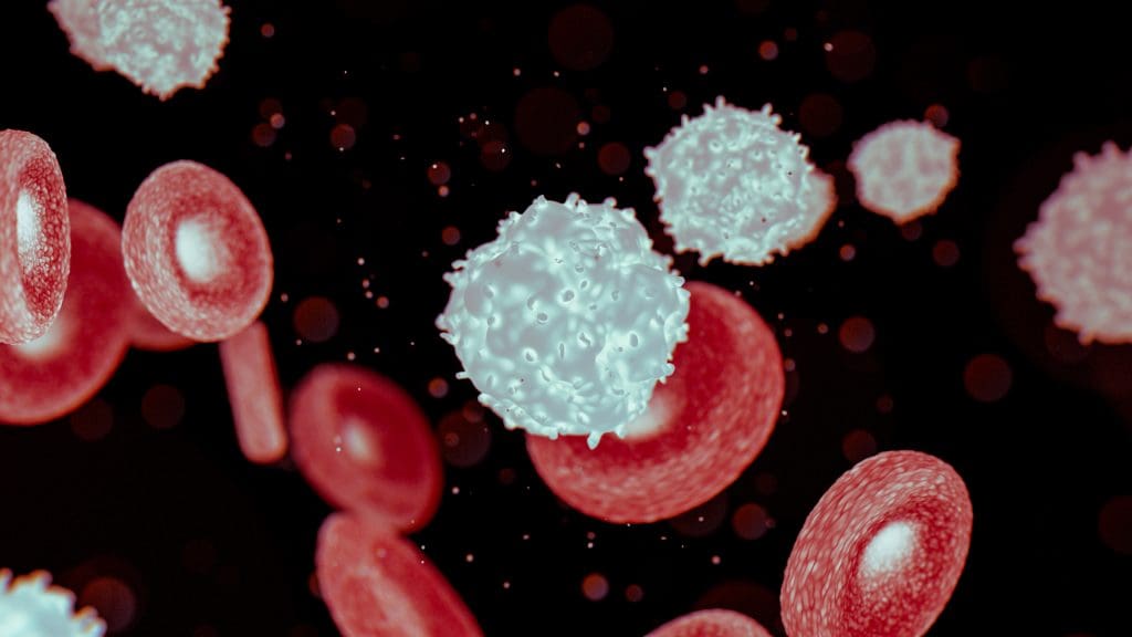 Can a Body Reject a Bone Marrow Transplant: Understanding Stem Cell Transplant Cost and Risks 1 body reject a bone marrow transplant