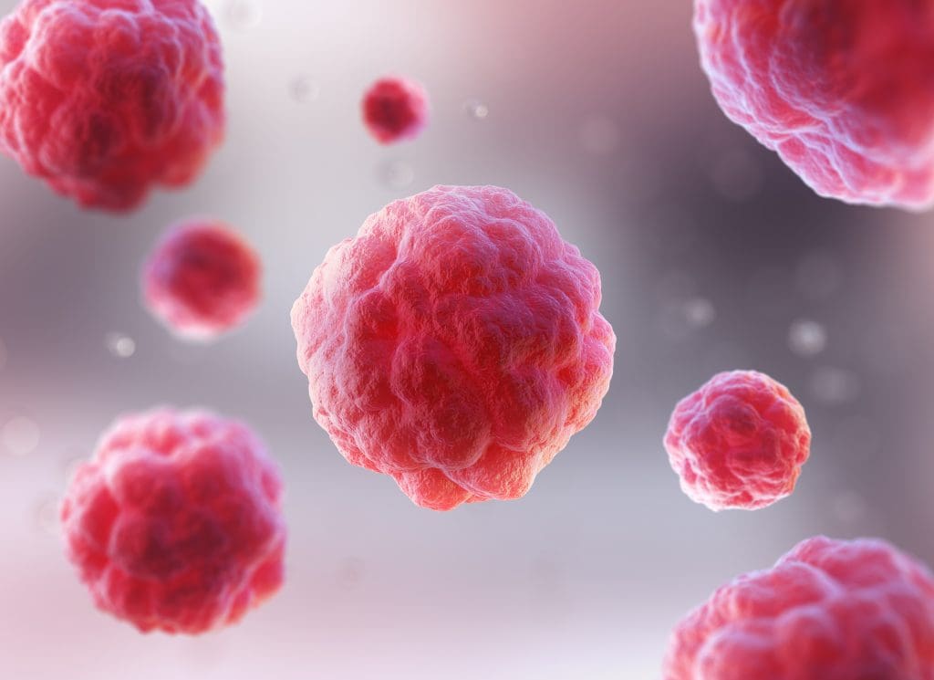 stem cells and cancer