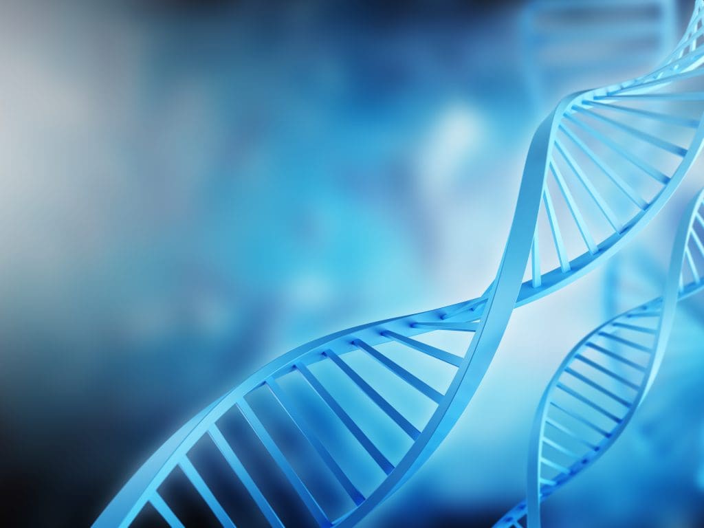 How they do hematopoietic stem cells