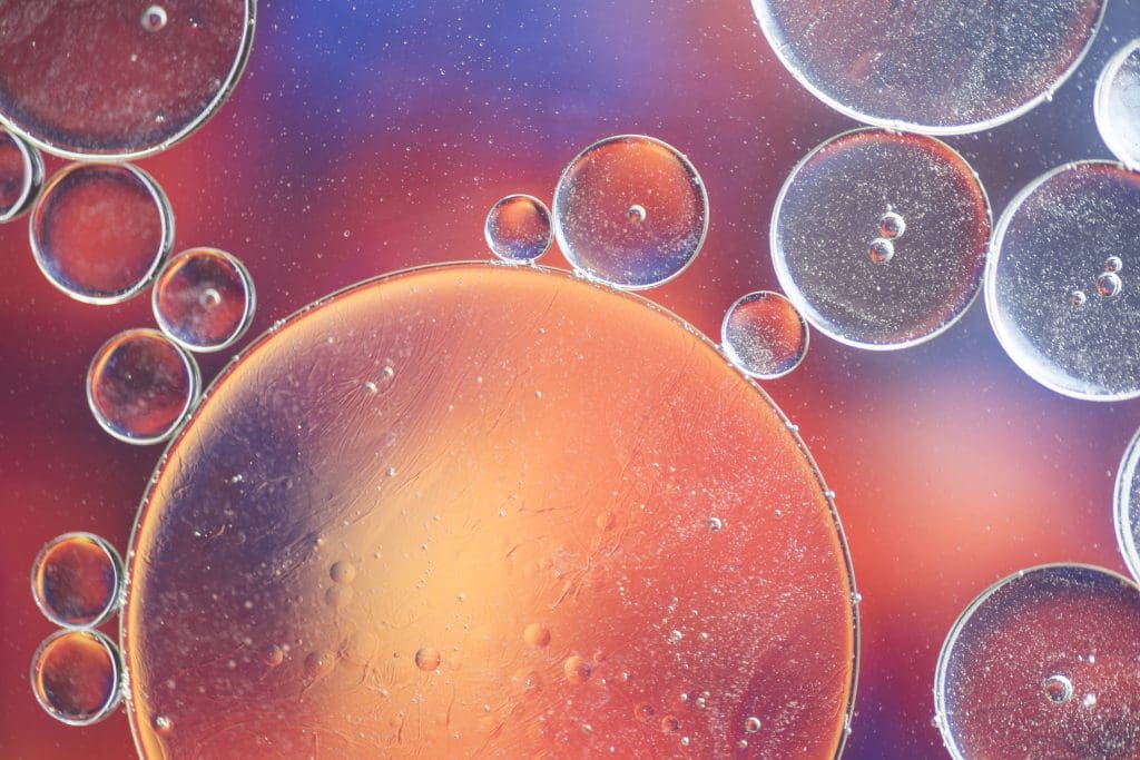 hematopoietic stem cells