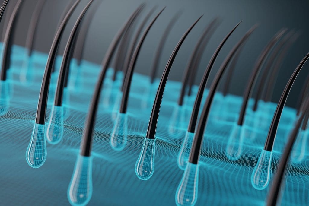 Stem Cells Regrow Hair