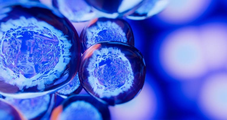 What is the root of all cancers?