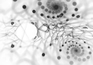 How do you wake up stem cells? Neural Stem Cells for Brain Repair