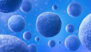 best dark chocolate for stem cells?