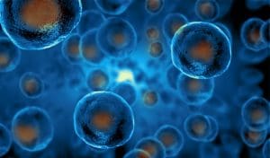 How to Activate Stem Cells: The Complete Guide for Beginners