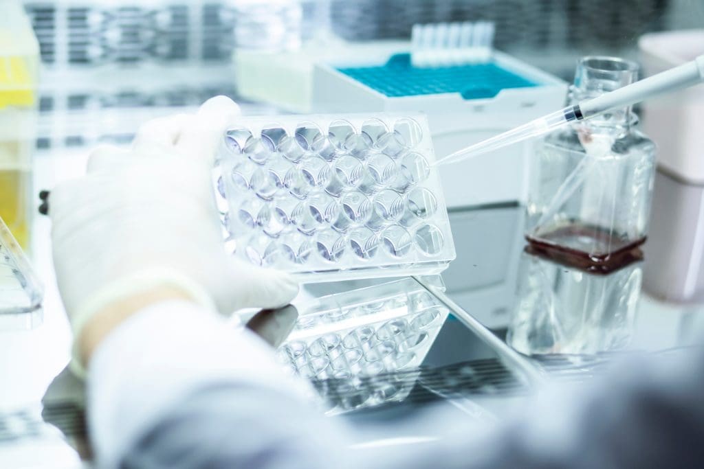 Which Foods Activate Stem Cells? Complete Guide to Foods That Increase Stem Cells 1 stem cell