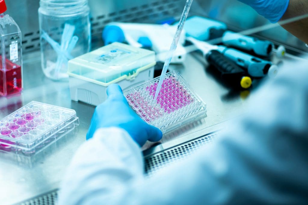 How much cacao per day to increase stem cells? 1 How much cacao per day to increase stem cells?