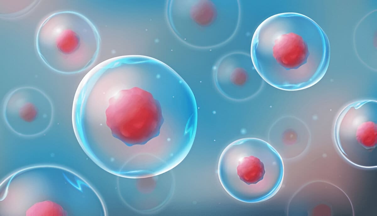 Illustration of multiple stem cells floating in a fluid environment with visible nuclei.
