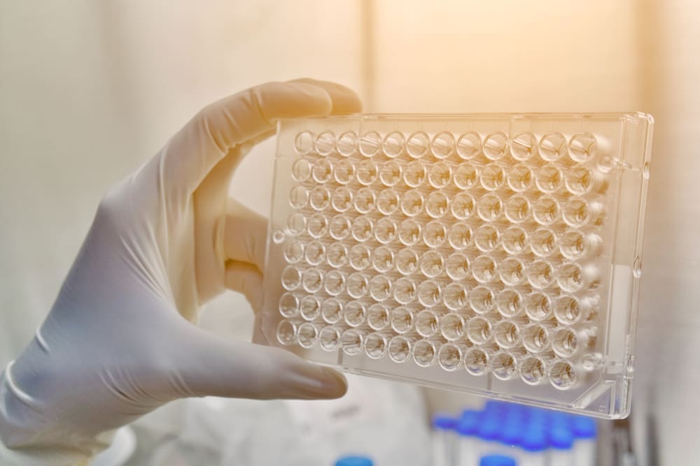 What Disqualifies You From a Stem Cell Transplant? Understanding BM Transplantation Eligibility